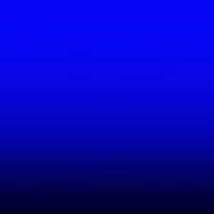 Meet your Posher, Riley